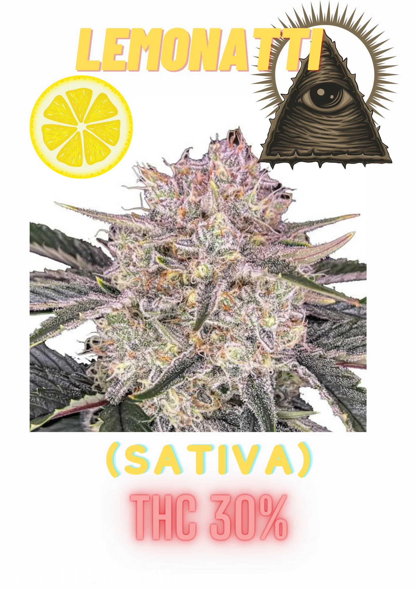 Exotics LEMONATTI Sativa