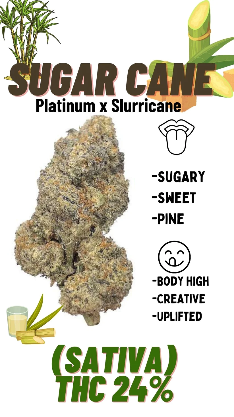 Topshelf SUGAR CANE Sativa THC23