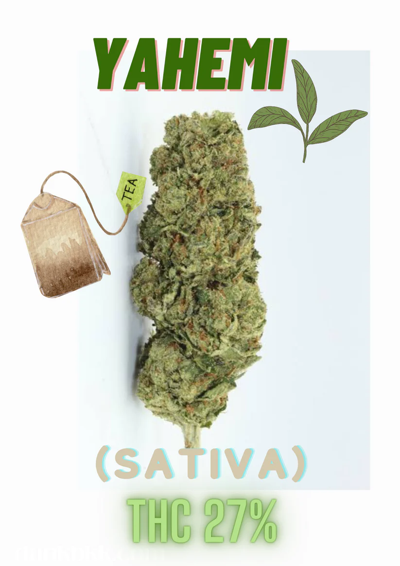 Exotics YAHEMI Sativa