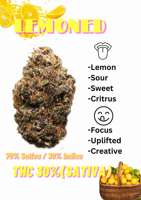 Premium Exotic PINK LEMONADE Sativa THC30