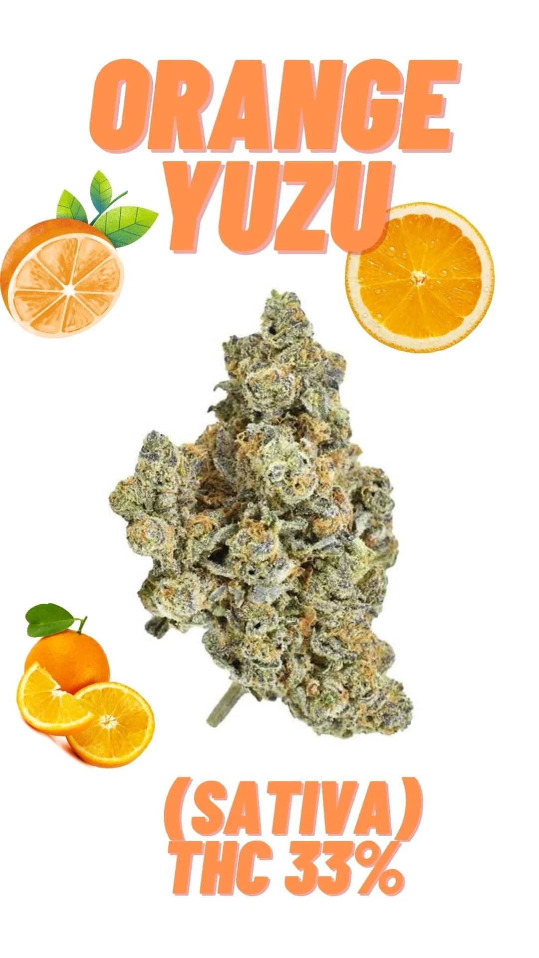 Premium Exotics ORANGE YUZU Sativa