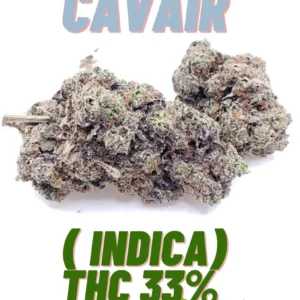 Premium Exotics - TRUFFLE CAVAIR (Indica)