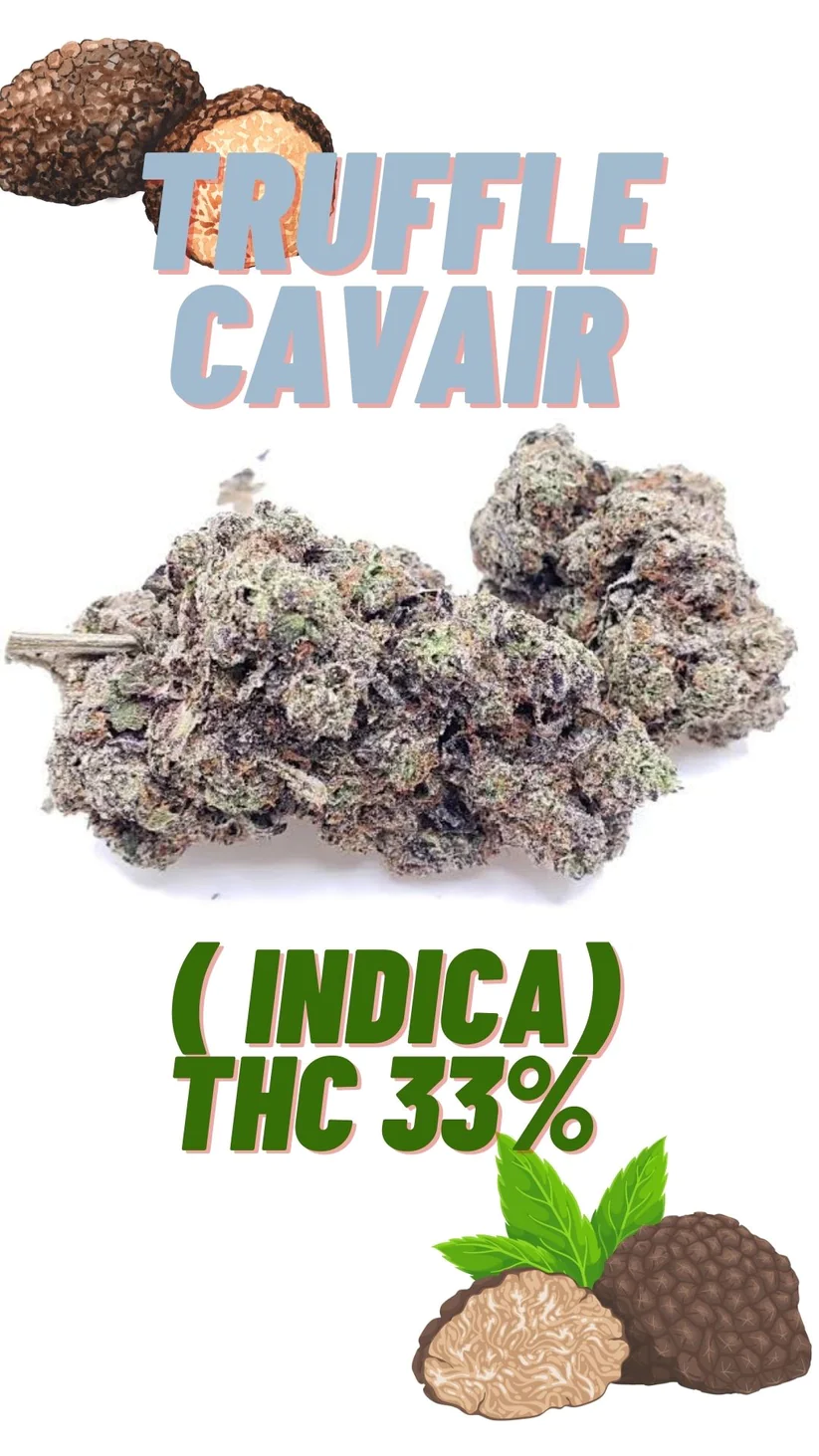 Premium Exotics TRUFFLE CAVAIR Indica