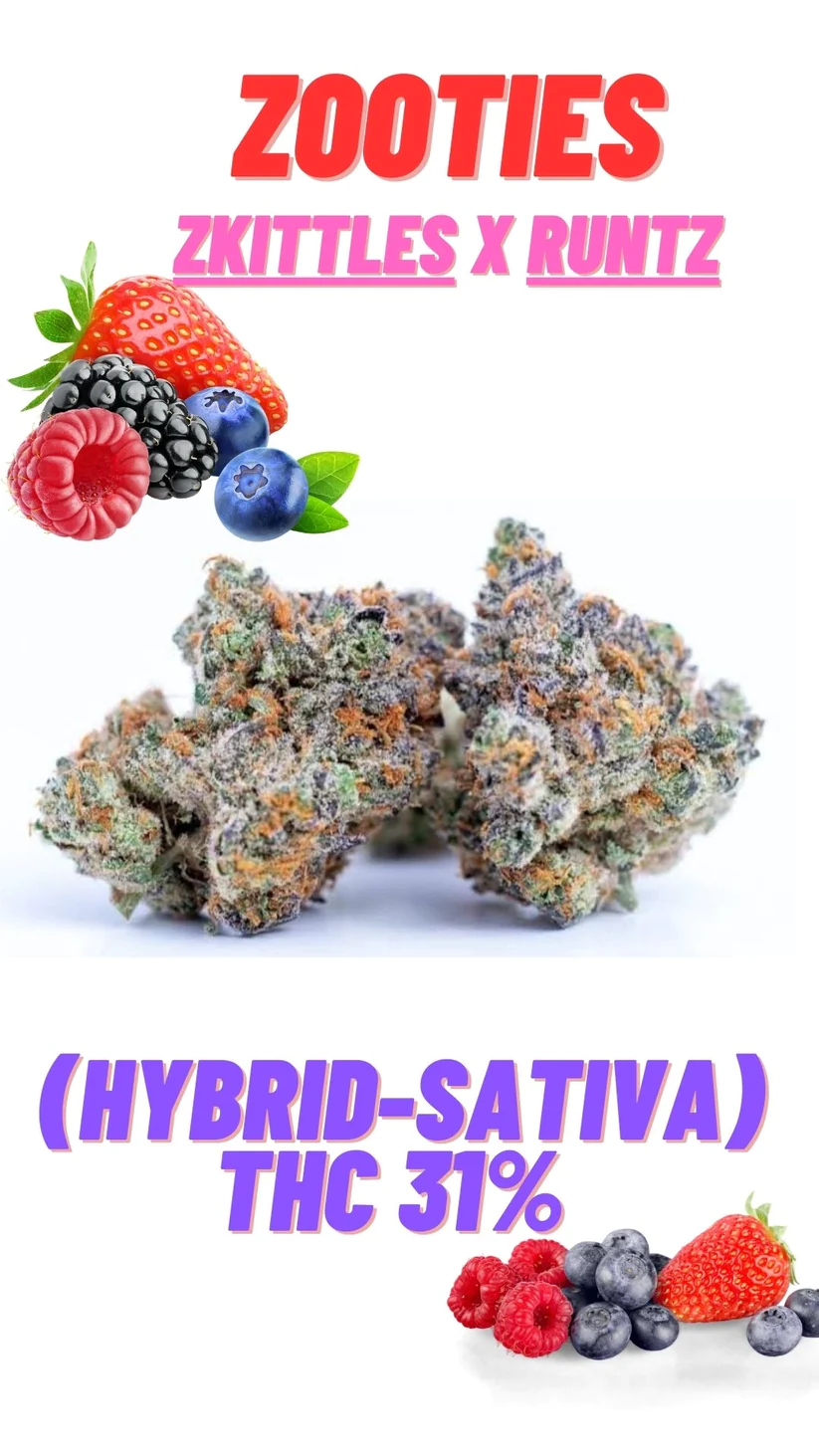 Premium Exotics ZOOTIES Hybrid Sativa