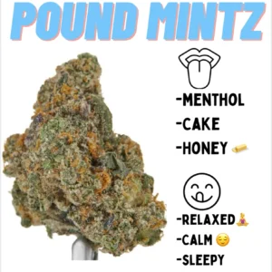 Premium Exotics - LONDON POUND MINTZ (Hybird-INDICA) THC34%