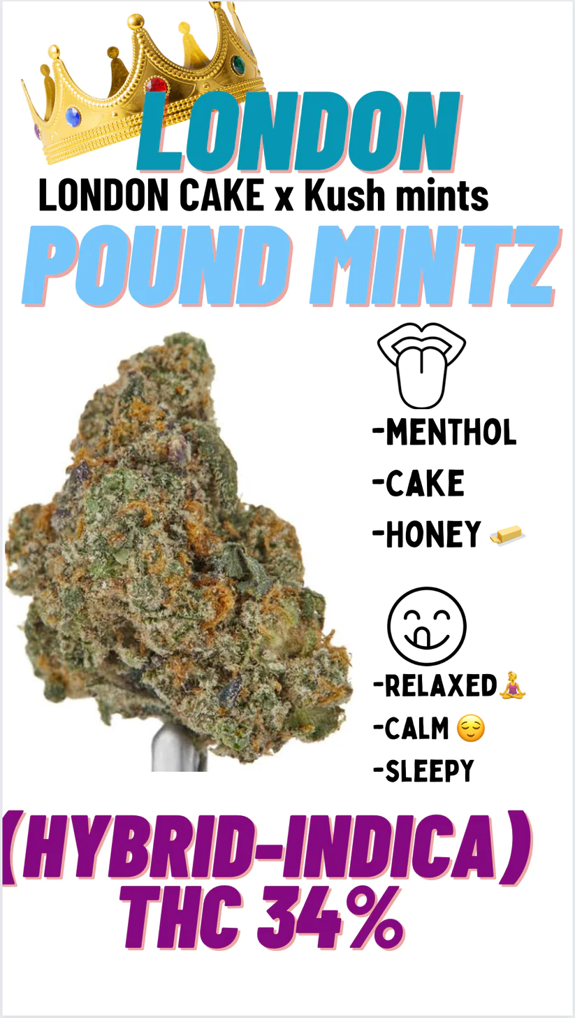 Premium exo LONDON POUND MINTZ Hybird INDICA THC34